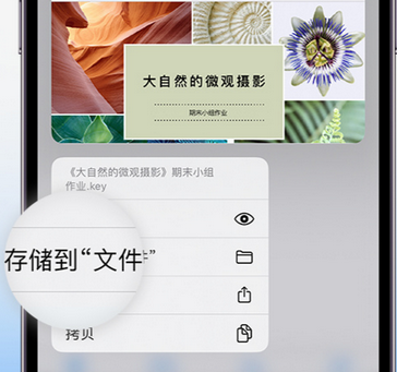 柘荣apple维修中心分享iPhone文件应用中存储和找到下载文件