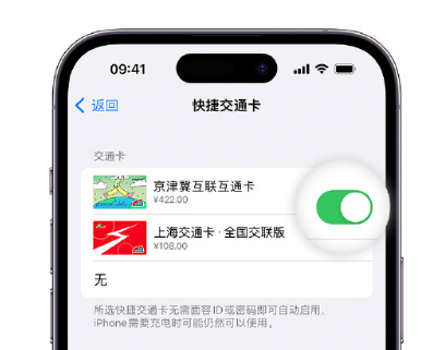 柘荣apple维修点分享iPhone上更换Apple Pay快捷交通卡手绘卡面 