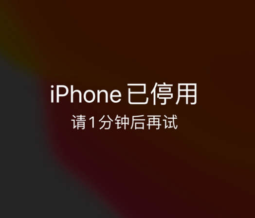 柘荣苹果手机维修分享:iPhone 显示“不可用”或“已停用”怎么办？还能保留数据吗？ 