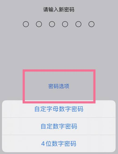 柘荣苹果14维修分享iPhone 14plus设置密码的方法 