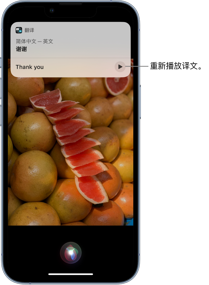 柘荣苹果14维修分享 iPhone 14 机型中使用 Siri：了解 Siri 能帮你做什么 