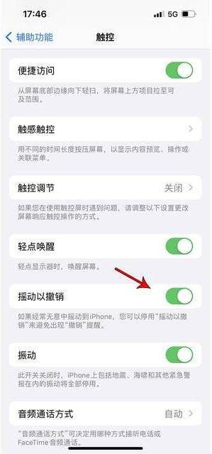 柘荣苹果手机维修分享iPhone手机如何设置摇一摇删除文字 